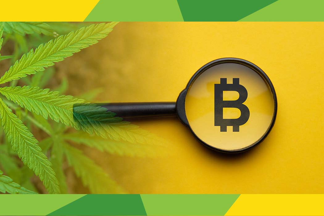 cannabis and cryptocurrency